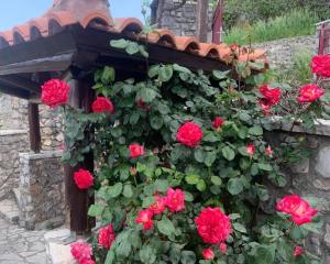 Terra Petra Villa at Psari Trikolonon Gortynia