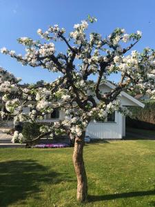 Holiday house by the sea, Näset Gothenburg