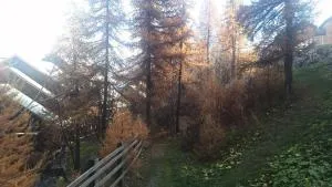 Résidence Hameau Des Ecrins - HEA405 - APPARTEMENT 1 CHAMBRE MAE-1811 - Narreyroux