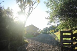 Bethells Luxury Retreat - Auckland Glamping