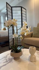 Luxury apartment 10 min to Airport Be Cariari Condo #402