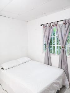 Apartamento hostal oasis