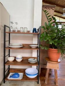 Tropical - Airy, open plan apartment in heart of Santa Teresa