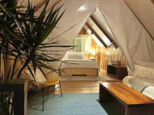 Alas Romantic Chalet Monteverde