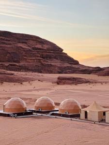 Ram Al-Umda Luxury Camp