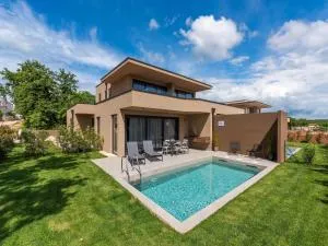 Luxury home with terrace and private pool - Dajla