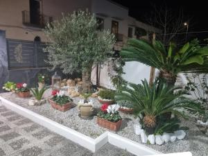 Leonida Guest House