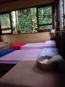 Chalé do Bosque em Ubatuba