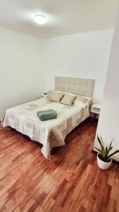 Departamento en la Docta