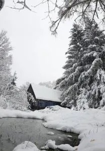 Casuta dintre brazi - Rişca