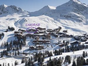 Studio cabine à Belle Plagne, 4 personnes, terrasse vue sud-ouest - FR-1-455-260