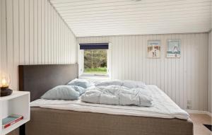 3 Bedroom Pet Friendly Home In Hjørring