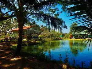 Tea Tree House in Chiang Mai - Ban Rong Wua (2)