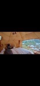 Kusumanagara Dome1