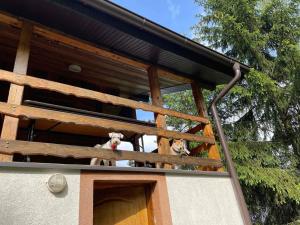 Vikendica Boki i Maki