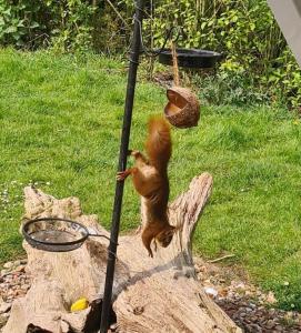 Sfeervolle vakantiewoning, luxe en comfort