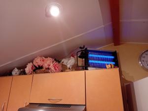 Maisons de vacances ROUPILLON A JANET : photos des chambres