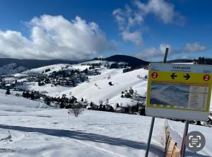 Chalet Foret - Ferienwohnung