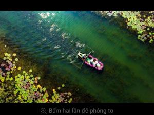 Tam Cốc LullaBy Homestay