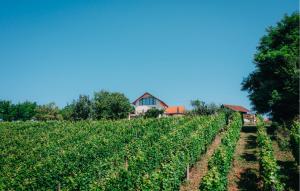 Amazing Home In Vukanovec With Sauna