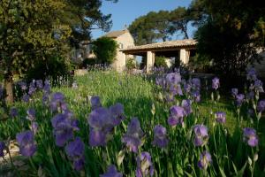 Hotels Le Mas De La Rose - Les Collectionneurs : photos des chambres