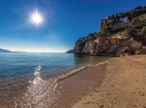 Cozy One Bedroom Apartment with Terrace 