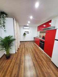 Appartements OFFRE SPECIALE Jungle Centre ville : Appartement 1 Chambre