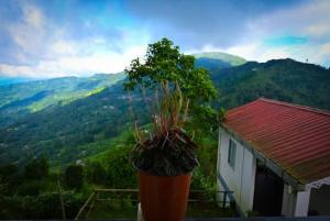 Dhupidara Homestays