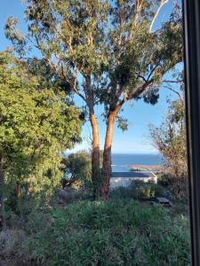 Campings LAVATOGGIO : photos des chambres