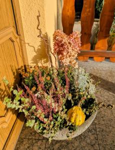 Schöne 2-Raumwohnung inklusive Infrarot-Wärmekabine