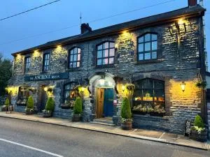 The Ancient Briton - 塞文西斯特斯