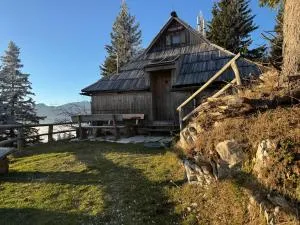 Chalet Košutnik Velika planina - 韦莱涅