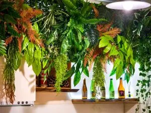 Xiaopin B&B - Zhuangwei