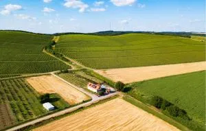 Nice Home In Karanac With Sauna - Karanac