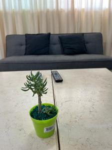 Amaneceres del Obelisco Apart