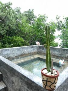 Apt 1-7 ppl, Starlink, Mini-pool & terrace