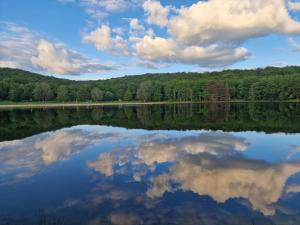 Tentes de luxe Camping Montard : photos des chambres