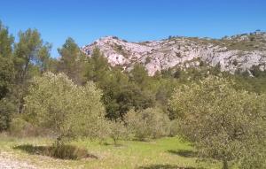 Maisons de vacances Stunning Home In Cabrieres-D-aigues : photos des chambres