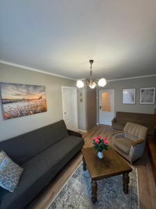 Jaukus apartamentas Birzu centre