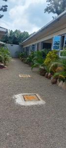 Maara Lodge Chogoria