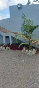 Maara Lodge Chogoria