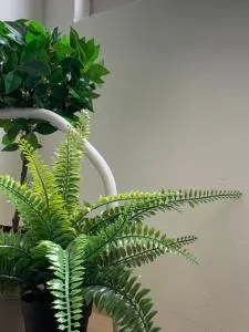 台南 小好宅 - 永康