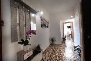 Florence Oasis Puccini & Visarno Apartment