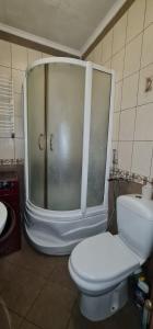 Шолом Алейхема 8