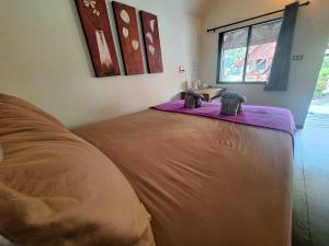 Breizh Cape Beach Bungalows