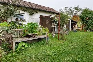 Sleep And Go - 伊尔斯费尔德