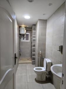 شقه فندقيه فاخره مطله على النيل - nile view hotel apartment