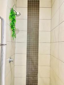 City Centre Apartment In Windhoek