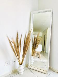 City Centre Apartment In Windhoek