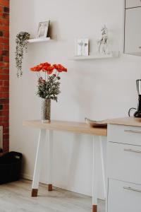 Ulinia Zacisze Dom Comfort 70m2